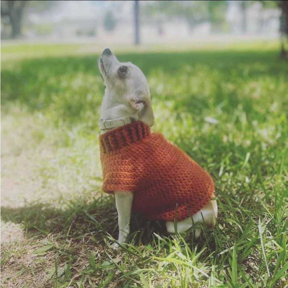 Handmade Small dog sweaters